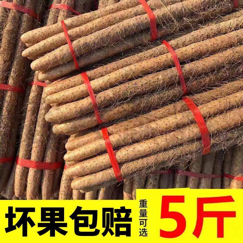 新鲜铁棍山药5斤铁棍山药小白嘴新鲜铁杆淮麻山药农家现挖