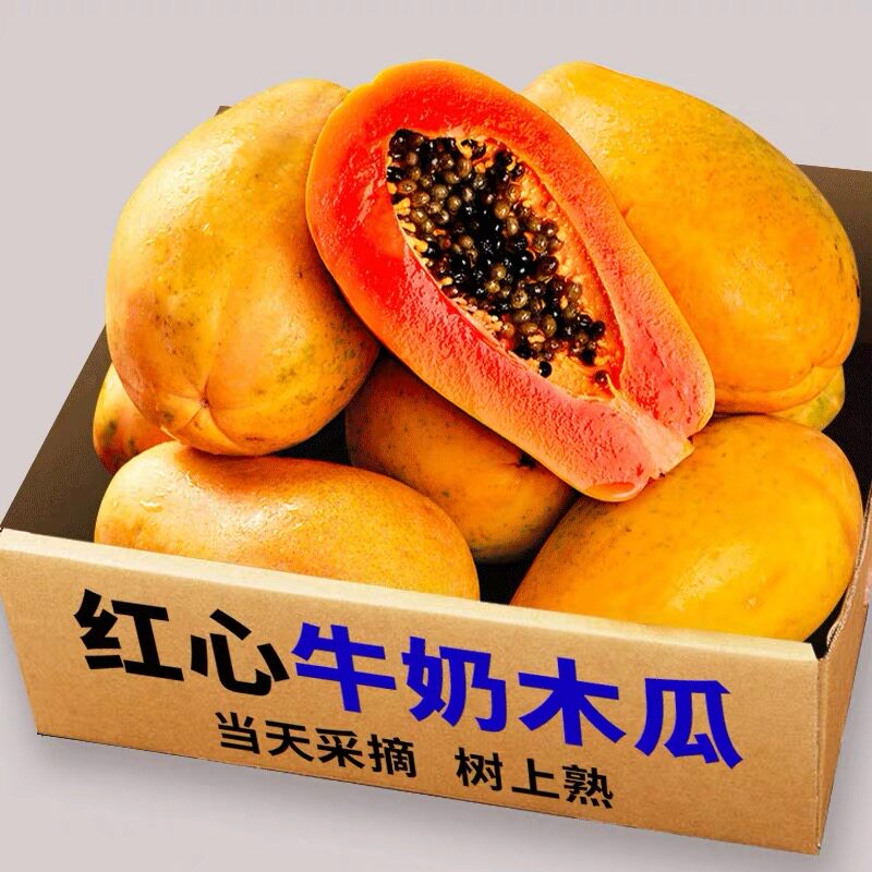 红心牛奶木瓜9斤新鲜水果整箱包邮当季孕妇下奶冰糖青木瓜自然熟