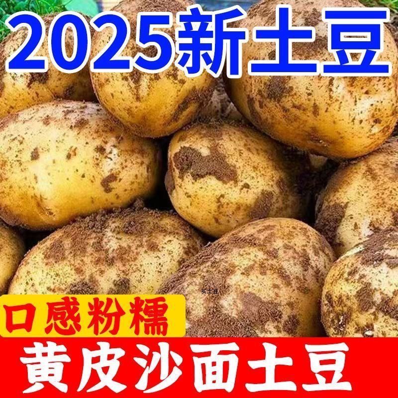 新鲜黄皮黄心土豆9斤新鲜马铃薯蔬菜洋芋整箱土豆整箱包邮5