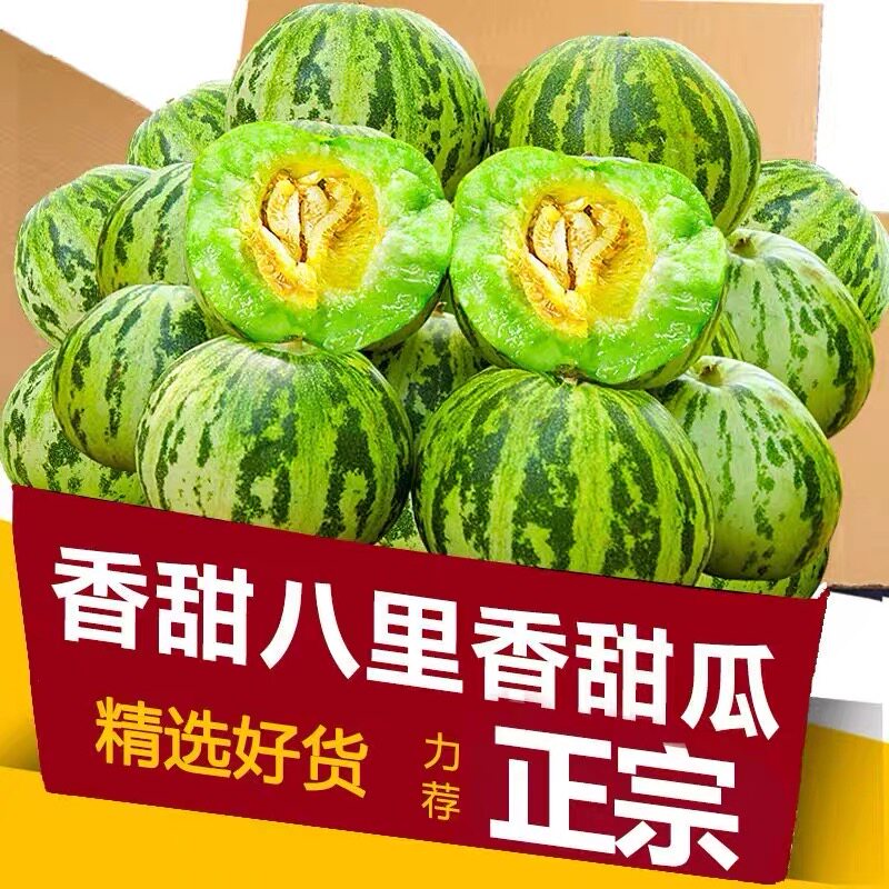 新鲜花美人当季甜瓜八里香甜瓜当季水果现摘脆甜香花皮