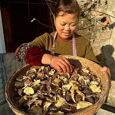 致香远1干野生菇0VEN0g