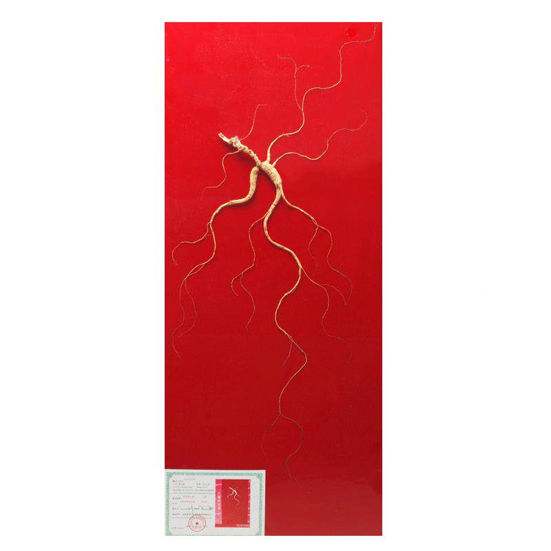 国检CJJ【二等6白-10克】长山人参野山老参鉴定证书延吉礼盒野生