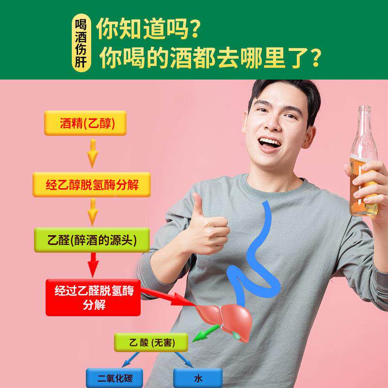 SVG日本进神口eodoro姜黄T素酒药快速解解酒醒酒防宿醉解酒器解酒
