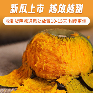 【好物捕手】贝贝南瓜正宗新鲜4.5斤装板栗味小南瓜婴儿孕妇粉糯