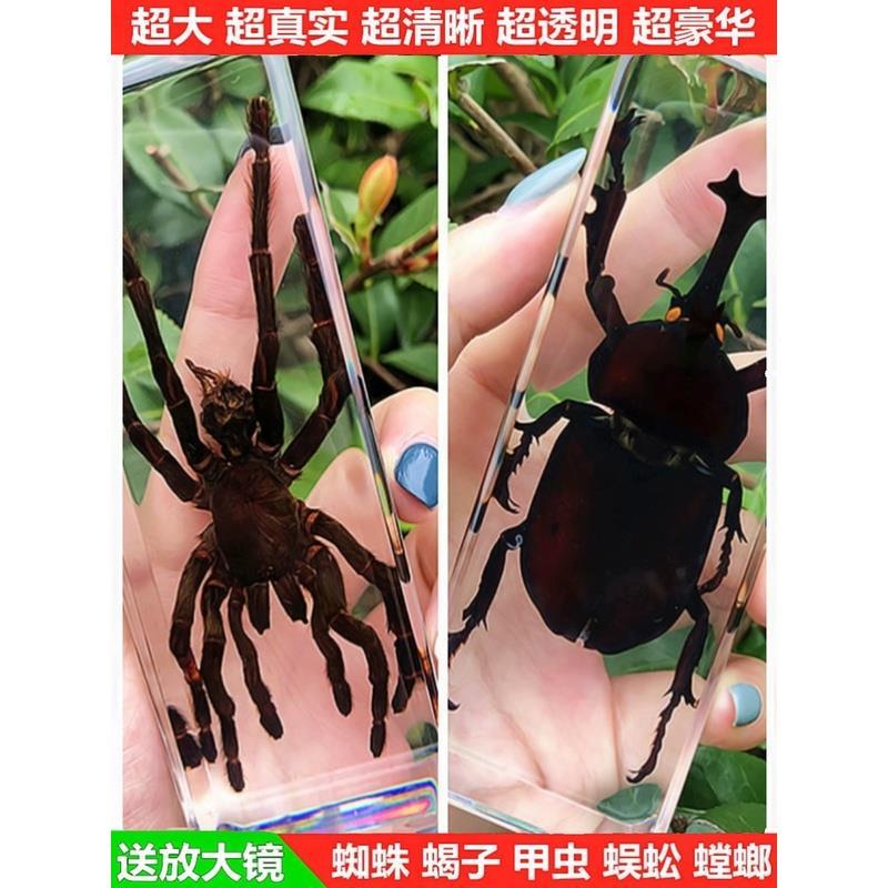 镜面滴胶模具 长方体模具昆虫标本环氧树脂胶手工diy材料