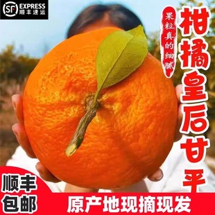 正宗甘平柑橘皇后礼盒当季新鲜水果蜜橘子纯甜小金牛桔子非粑粑柑