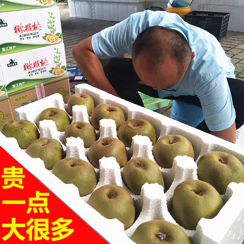 正宗四川蒲江猕猴桃新鲜大果5斤狝弥猴桃水果原产地猕猴桃红心