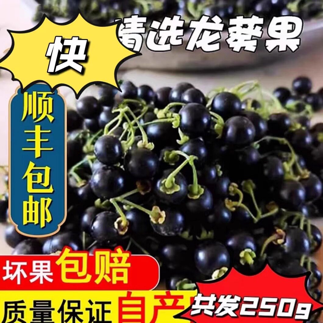 新鲜龙葵果250克东北野葡萄新奇黑天天罕见嘿悠悠嘿星星高端水果m