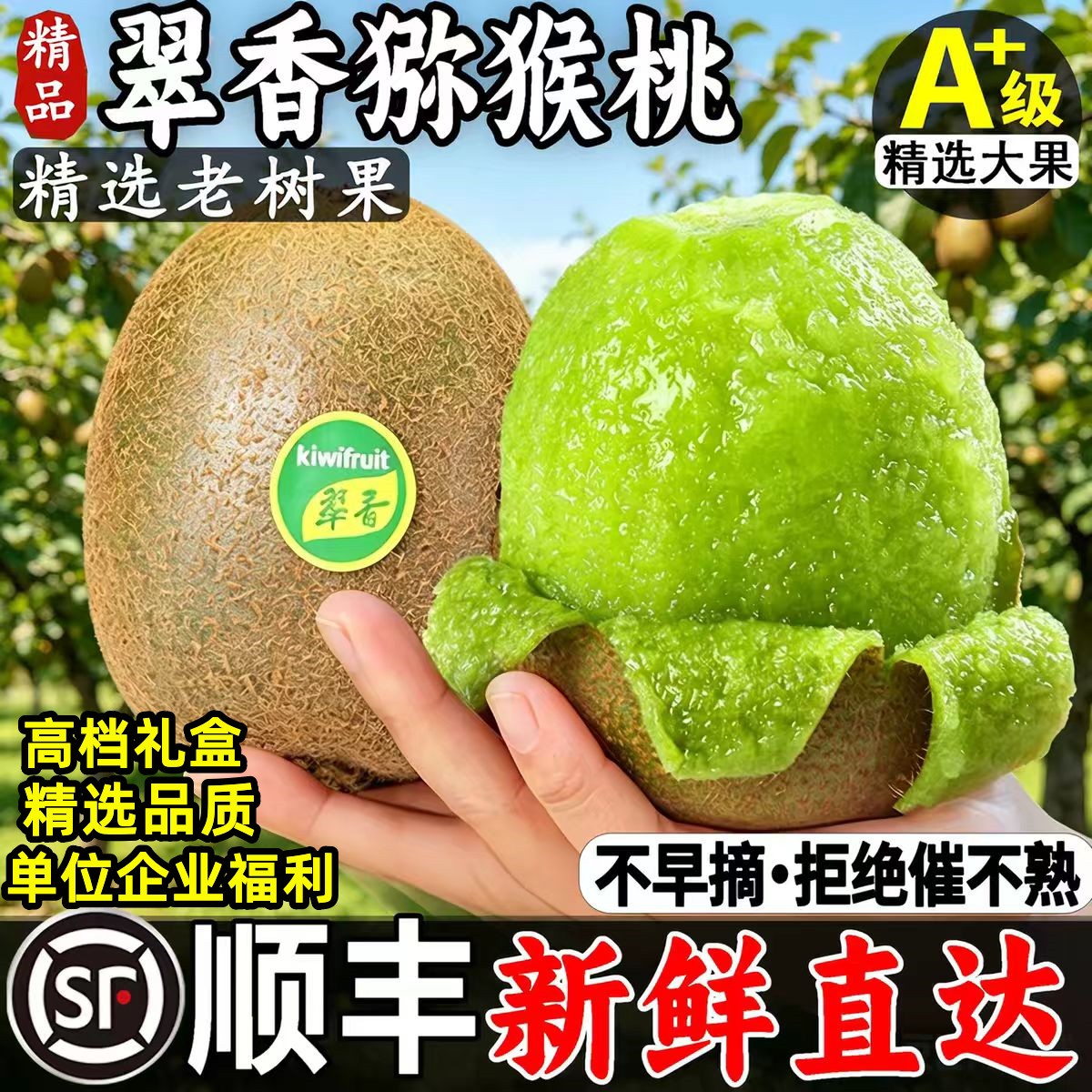 正宗陕西翠香猕猴桃中秋水果礼盒绿心周至特产新鲜奇异果顺丰包邮
