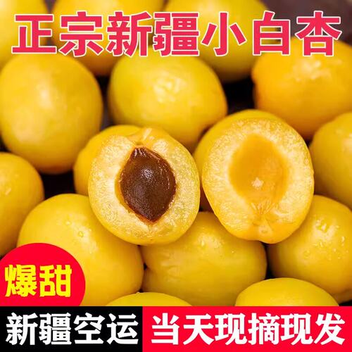 正宗新疆小白杏子轮台新鲜水果库车甜杏应季孕妇5斤整箱特产