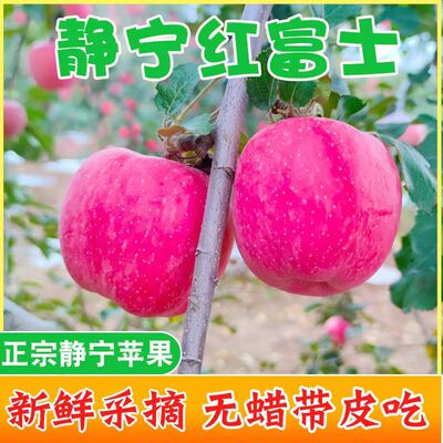 甘肃静宁红富士苹果当季新鲜水果脆甜冰糖心10斤整箱现摘现发