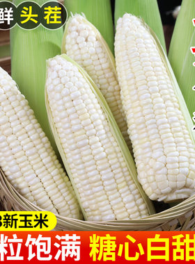 新鲜玉米棒子爆浆牛奶玉米
