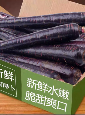 新鲜山东特产紫色胡萝卜现挖现发生吃脆甜花青素紫皮胡萝卜5斤9斤