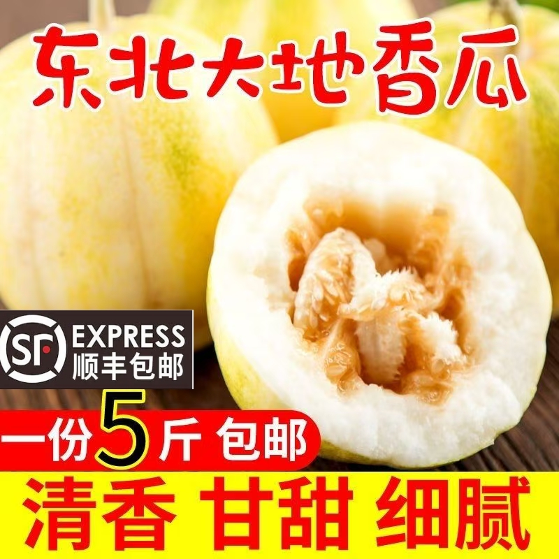 2025新货东北老式大地香瓜白糖罐