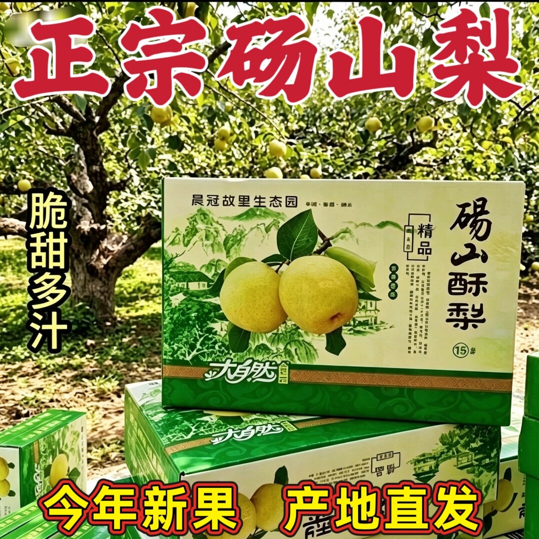 正宗安徽砀山梨新鲜现摘汤山酥梨农家当季脆甜水果9斤大果礼盒装