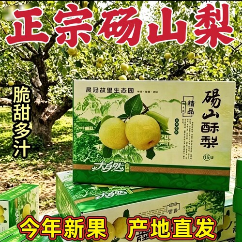 正宗安徽酥梨新鲜水果脆甜多汁