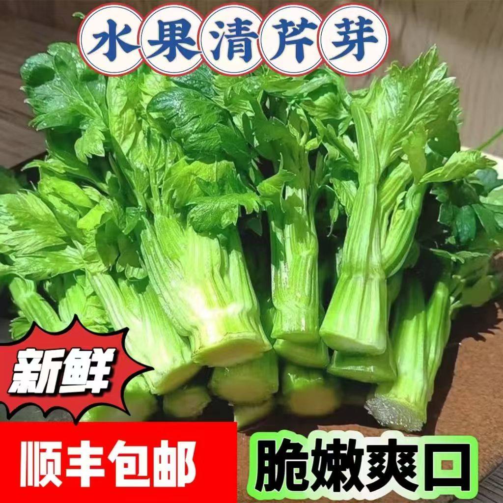 云南高原水果清芹生吃新鲜水果芹菜西芹当季蔬菜现采现发绿色青菜