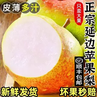 东北特产延边吉龙井苹果梨霜后当季孕妇水果现摘脆甜10斤顺丰包邮
