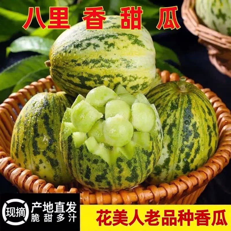 2026正宗八里香甜瓜东北品种现摘新鲜花蕾花姑娘大地香瓜一级脆甜