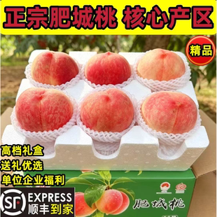 顺丰新山东特产肥桃肥城水蜜桃现摘新鲜当季脆甜毛桃子佛桃礼盒装