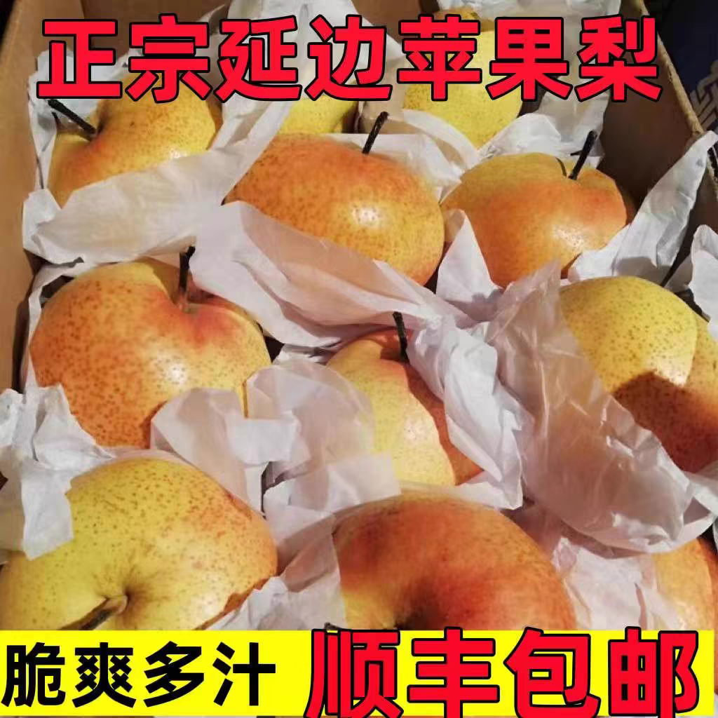 东北特产延边苹果梨净重10斤龙井霜后苹果梨新鲜孕妇水果甜脆