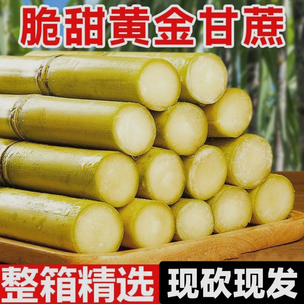 云南脆皮黄金甘蔗多汁可手撕