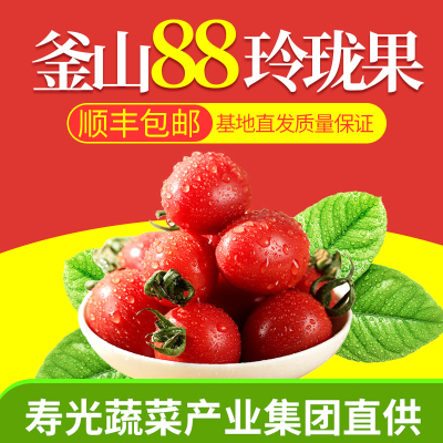 釜山88新鲜水果小番茄西红柿