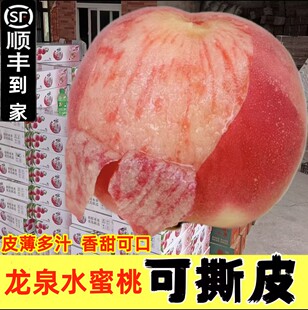 正宗四川龙泉驿水蜜桃软桃可撕皮当季水果孕妇水果礼盒装顺丰空运