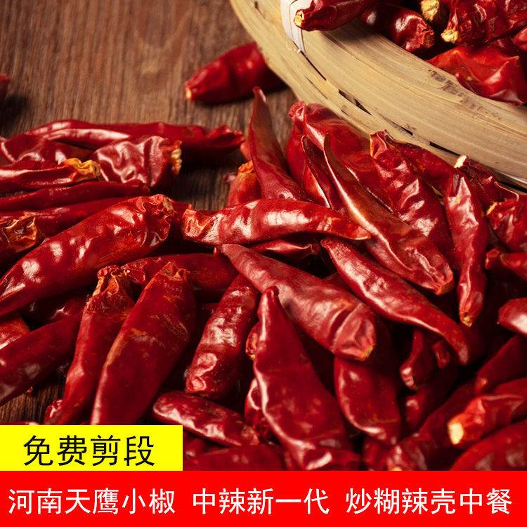 精品新一代色选河南天鹰