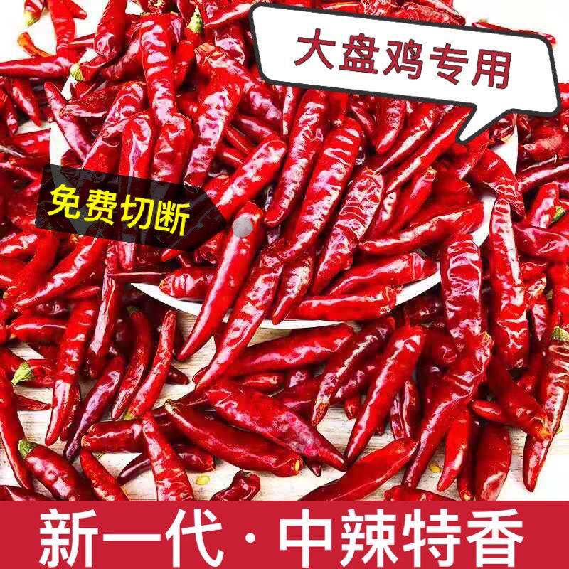 新一代辣椒大盘鸡专用特辣819辣椒印度魔鬼椒辣椒面出红油凉拌