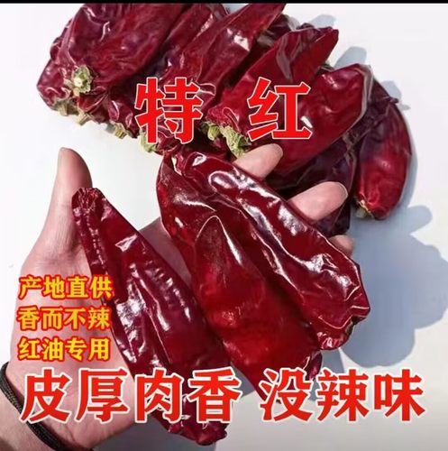 新疆铁板椒北京红油专用红油辣椒