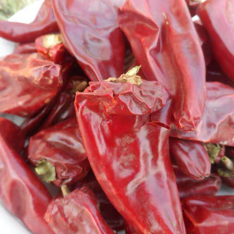 新疆铁板椒北京红 红油专用 不辣上色提香干辣椒500g包邮免费磨粉