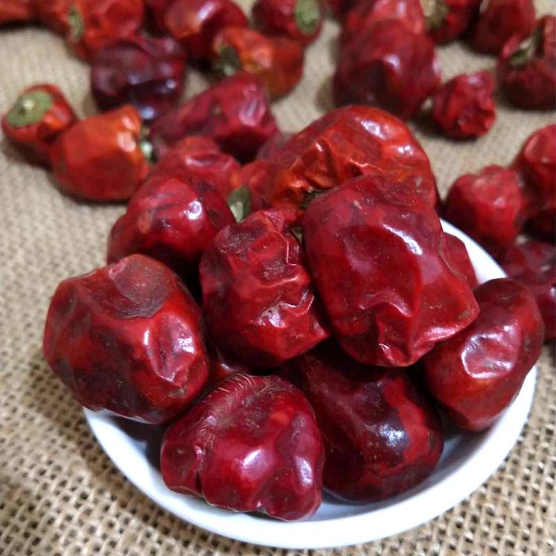 灯笼椒贵州小辣王子弹头