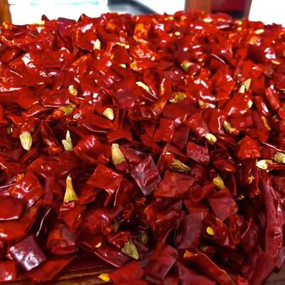 乾辣椒段无籽商用特辣印度魔鬼椒变态辣香辣四川饭店专用500g巨辣