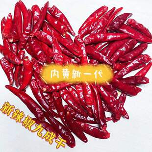 正宗内黄新一代朝天椒干辣椒辣椒段中辣小米椒商用饭店
