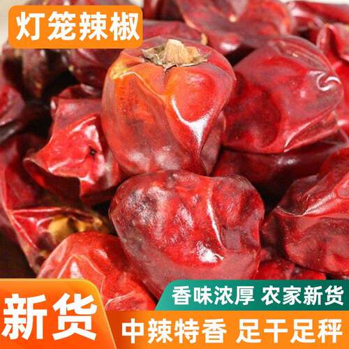 灯笼干辣椒中特香贵州型