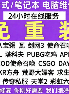 不重装电脑机器维修LOL穿越火线CF塔科夫码无畏契约过炸鱼免重装