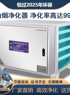商用不锈钢过环保油烟净化器低空排放烧烤厨房餐饮无烟去除味小型