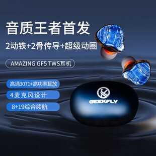 GEEKFLY/极客飞声 amazing5GEEKFLY Amazing GF5 5单元无线TWS耳