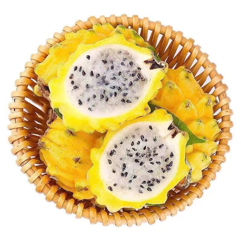 【顺丰】特大果 海南燕窝果麒麟果礼盒当季热带新鲜水果黄火龙果
