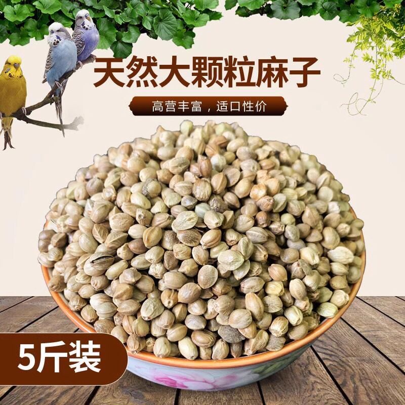 鹦鹉麻子鸟食火麻子大颗粒火麻仁玄凤牡丹鸟粮零食饲料仓鼠松鼠粮