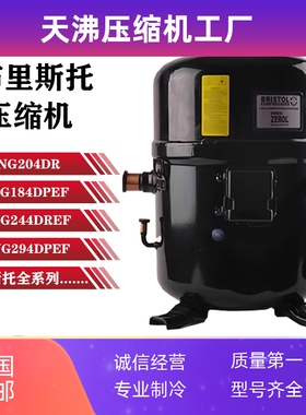 H2NG244DREF H2NG294DPEF H2NG184DPEF H2NG204DR布里斯托压缩机