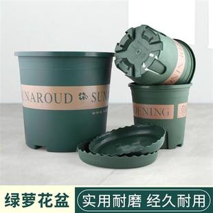 J2个装矮胖加伦花盆控根塑料阳台家用绿萝月季多肉盆栽大口径