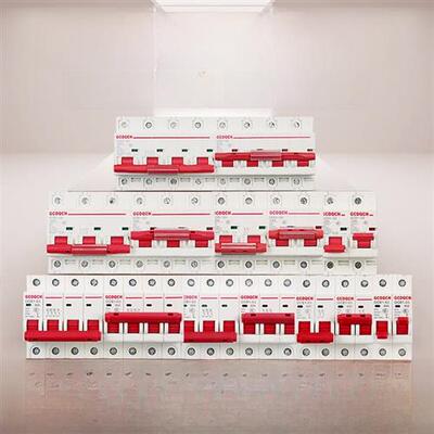 联锁断路器家用220V手动双电源开关转换开关小Dz47型电流可选