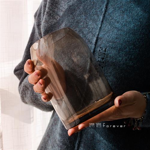 宽口简约干花玻璃花瓶家居装饰客厅茶几插花桌面摆件水培绿植瓶子