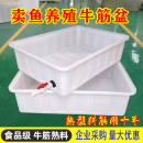加厚牛筋塑料水箱长方形水产养殖养鱼箱熟胶盆养龟箱大容量方水桶