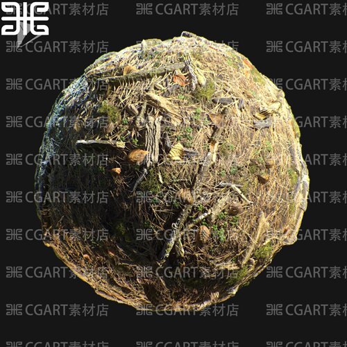 Substance Designer森林地面腐朽树枝落叶杂草苔藓纹理sd材质球pt