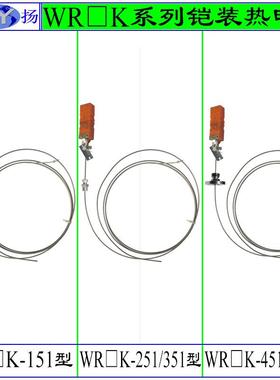 WRNK-151 WREK-251热电偶 铠装热电偶 M4 M5扁插件型铠装热电偶