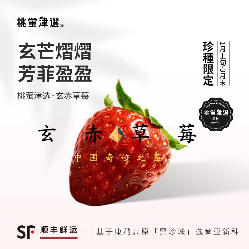 稀！桃萤津选 玄赤®草莓 馥郁浆果型 凉山黑珍珠改良种 礼盒 SF,水产肉类/新鲜蔬果/熟食,草莓,淘宝优惠券,粉丝福利购,淘宝优惠卷