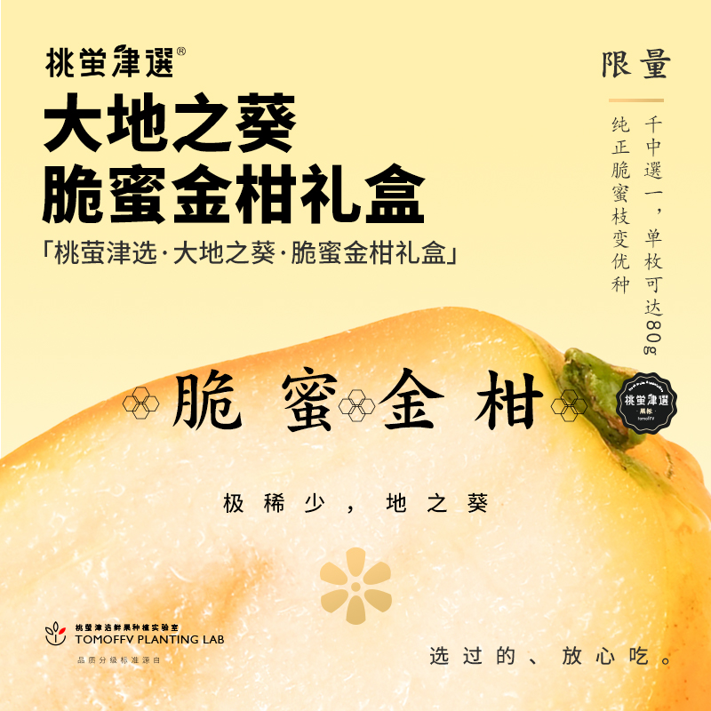 「大地之葵」级脆蜜金柑超稀有！